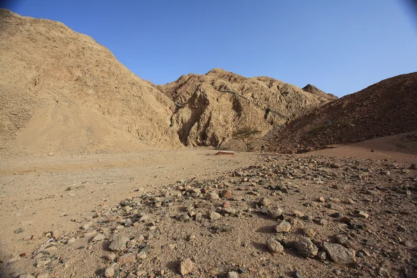 Morte deserto seca pedras — Fotografia de Stock