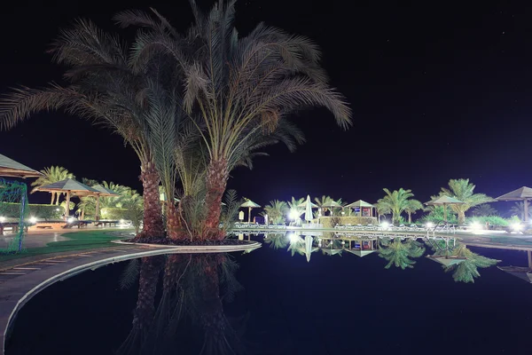 Noite paisagem verão sul — Fotografia de Stock