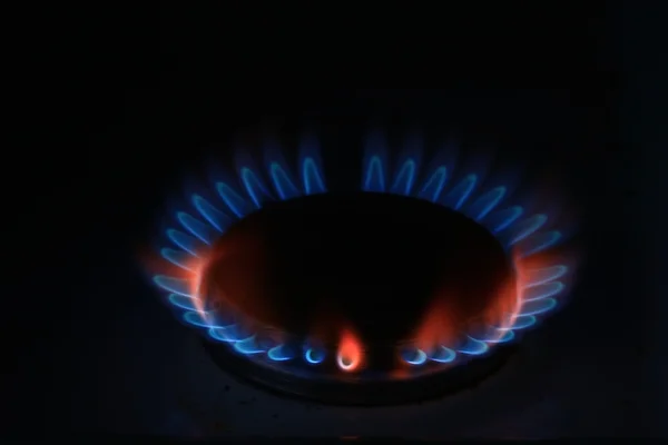 Modrý hořák plynový sporák — Stock fotografie