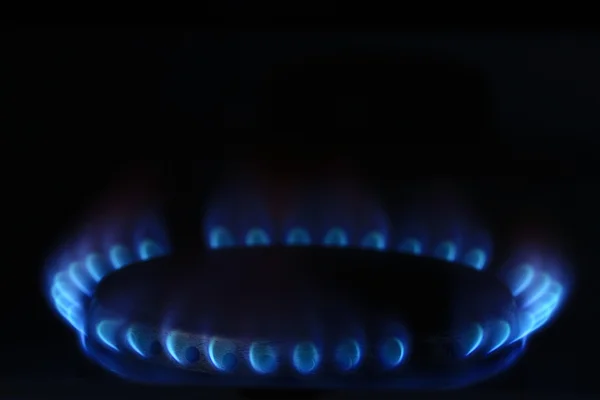 Blue burner gas cooker — Stock Photo, Image