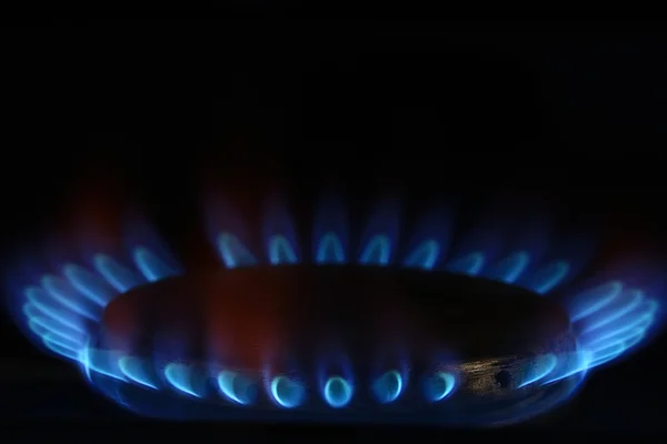 Blue burner gas cooker — Stock Photo, Image