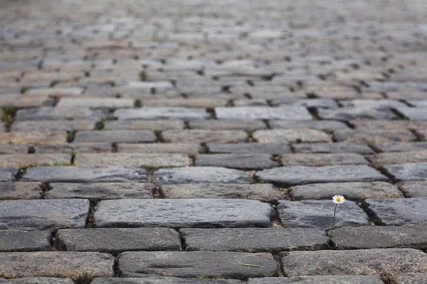 Tile texture stones Square — Stock Photo, Image