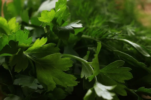 Grüner Salat beim Kochen — Stockfoto