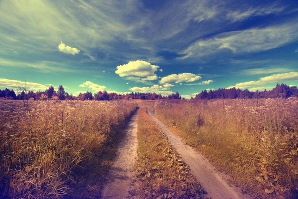 Strada nel campo estivo — Foto Stock