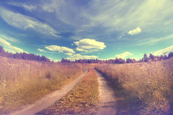 Strada nel campo estivo — Foto Stock