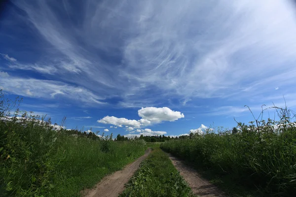 Strada nel campo estivo — Foto Stock