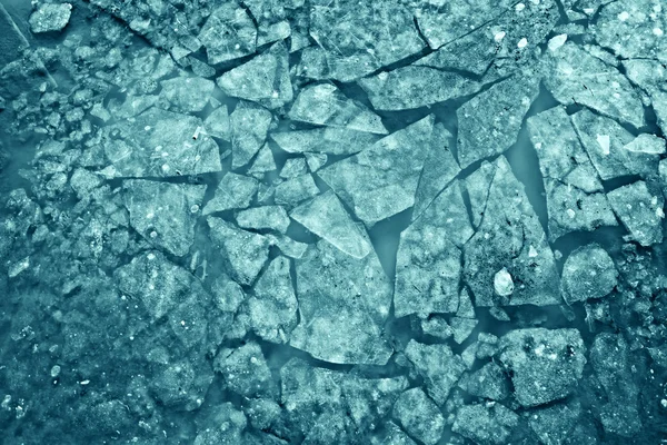 Tekstura pokruszony lód chomikuj — Zdjęcie stockowe