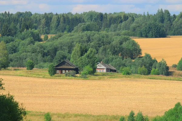 Дорога в летнем поле — стоковое фото