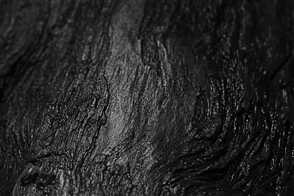 Madeira textura de fundo árvore velha — Fotografia de Stock