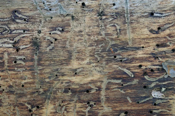 Texture of old wood — Stock Photo, Image