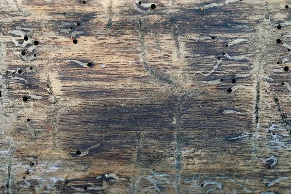 texture of old wood