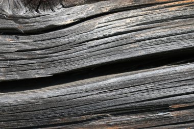 Ahşap Arkaplan Dokusu