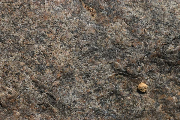 Груба текстура кам'яна поверхня — стокове фото