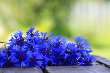 Tarlada yabani çiçekler