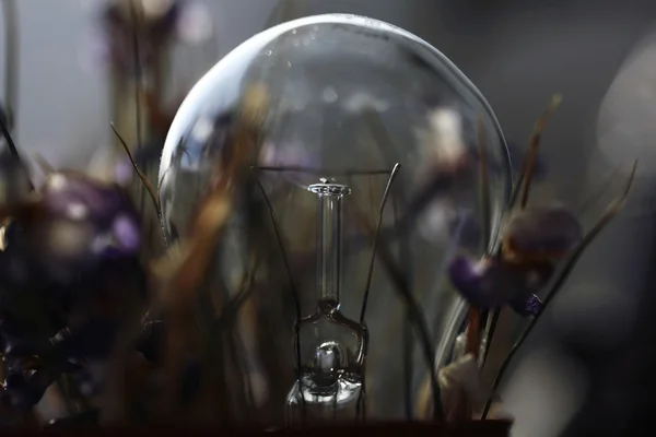 白熱電球のコンセプト電気 — ストック写真