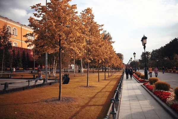 Caída de hojas en el parque de otoño — Foto de Stock