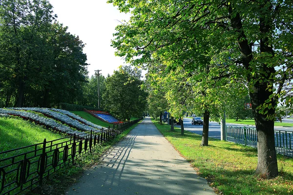 Summer in the city park — Stock Photo, Image