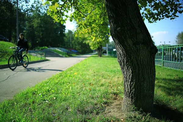 Sommar i stadsparken — Stockfoto