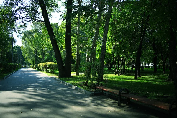 夏天在城市公园 — 图库照片