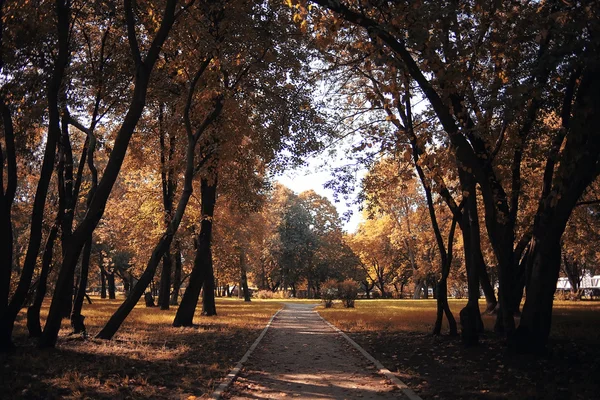 Herbst-Parklandschaft mit Bäumen — Stockfoto