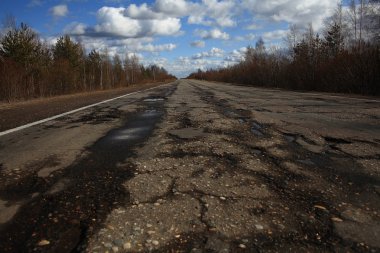 Sonbahar yol ağaçları arasında