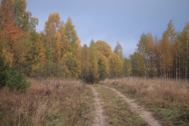sonbahar manzara bir şehir parkı