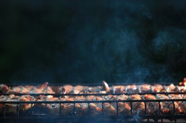 pişirme Barbekü füme