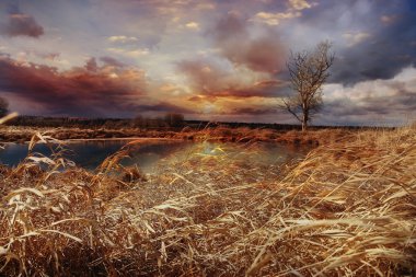 akşam bataklık alan