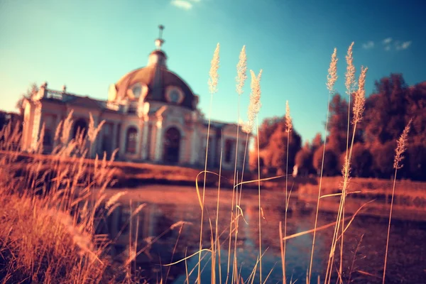 Autunno nel parco — Foto Stock