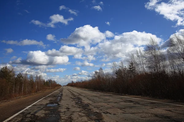 Őszi road, fák között — Stock Fotó