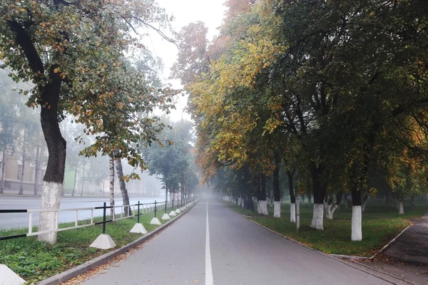 公園で霧の路地 — ストック写真