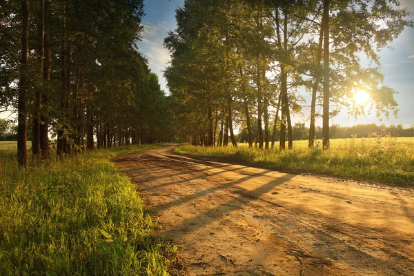 Старая дорога на ранчо — стоковое фото