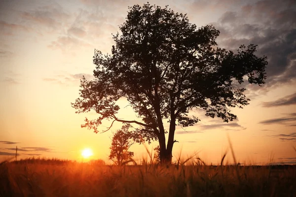 Фантастичний краєвид захід сонця — стокове фото