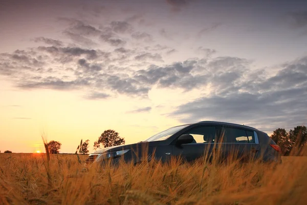 SUV em um campo de trigo — Fotografia de Stock