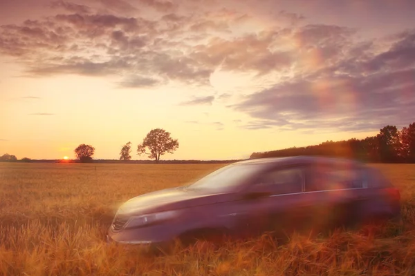 SUV em um campo de trigo — Fotografia de Stock