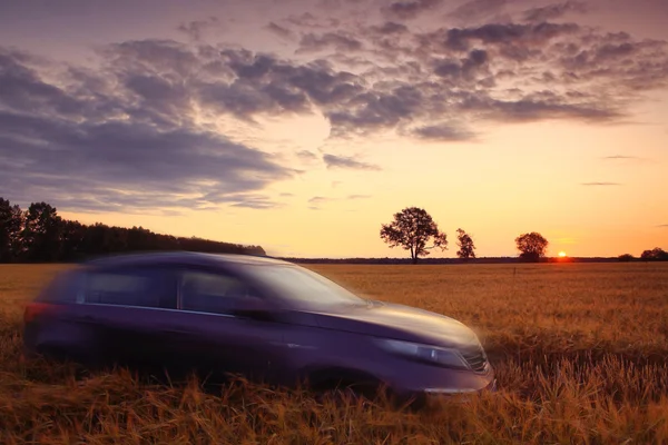 SUV in a wheat field — Stock Photo, Image