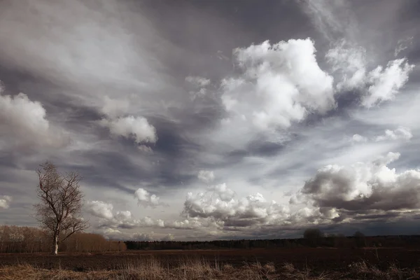 autumn cloudy landscape