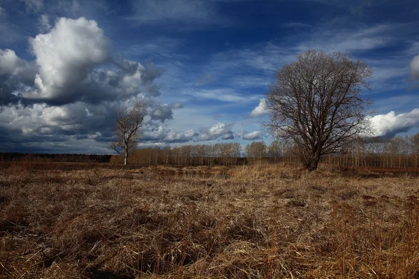 Travnaté hřiště a zamračená obloha — Stock fotografie