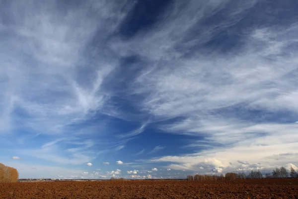 Campo de paisaje con cielo nublado — Foto de Stock