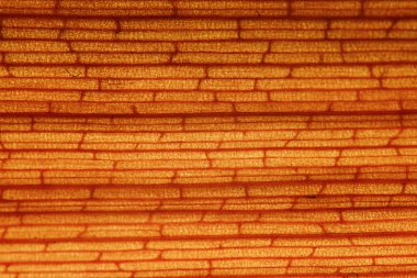 tuğla doku bitki fiber