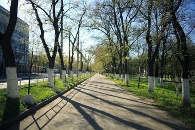 Şehir parkında yaz.