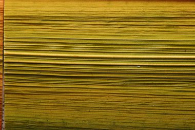 doku bitki fiber yaprak