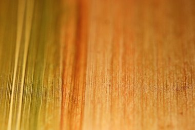 doku bitki fiber yaprak