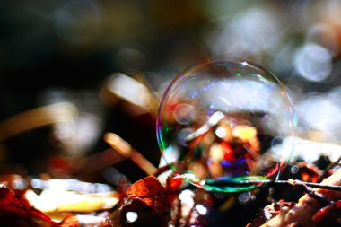 Olağandışı kabarcık arka plan doğa