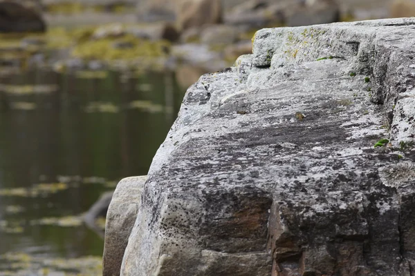 静かな池の近くの岩 — ストック写真