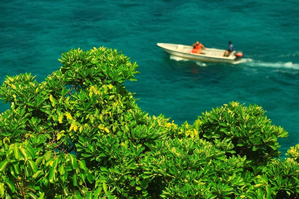 Blauwe zomer zeegezicht — Stockfoto