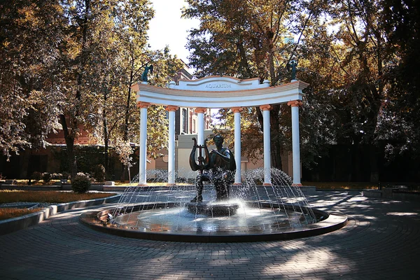 Verano en el parque urbano —  Fotos de Stock