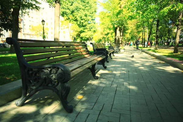 Summer in the city park — Stock Photo, Image