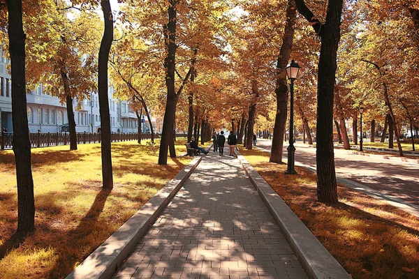 도시 공원에서 프리 — 스톡 사진