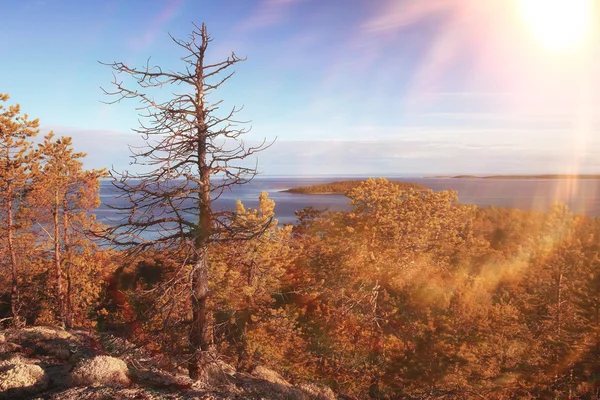 Höstlandskap i naturen — Stockfoto